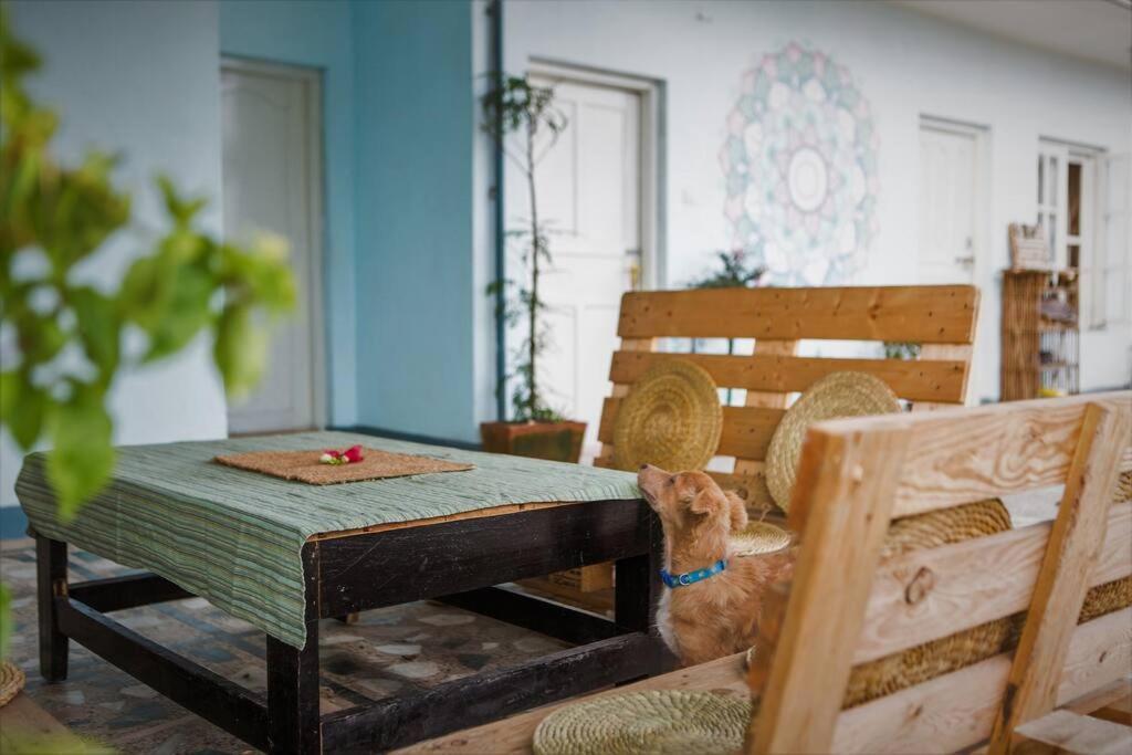Ananda Tree House Eco Homestay Katmandu Eksteriør billede
